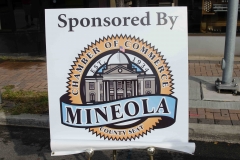 MSF 2015 (13 of 335)