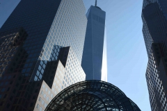 DSC_8675